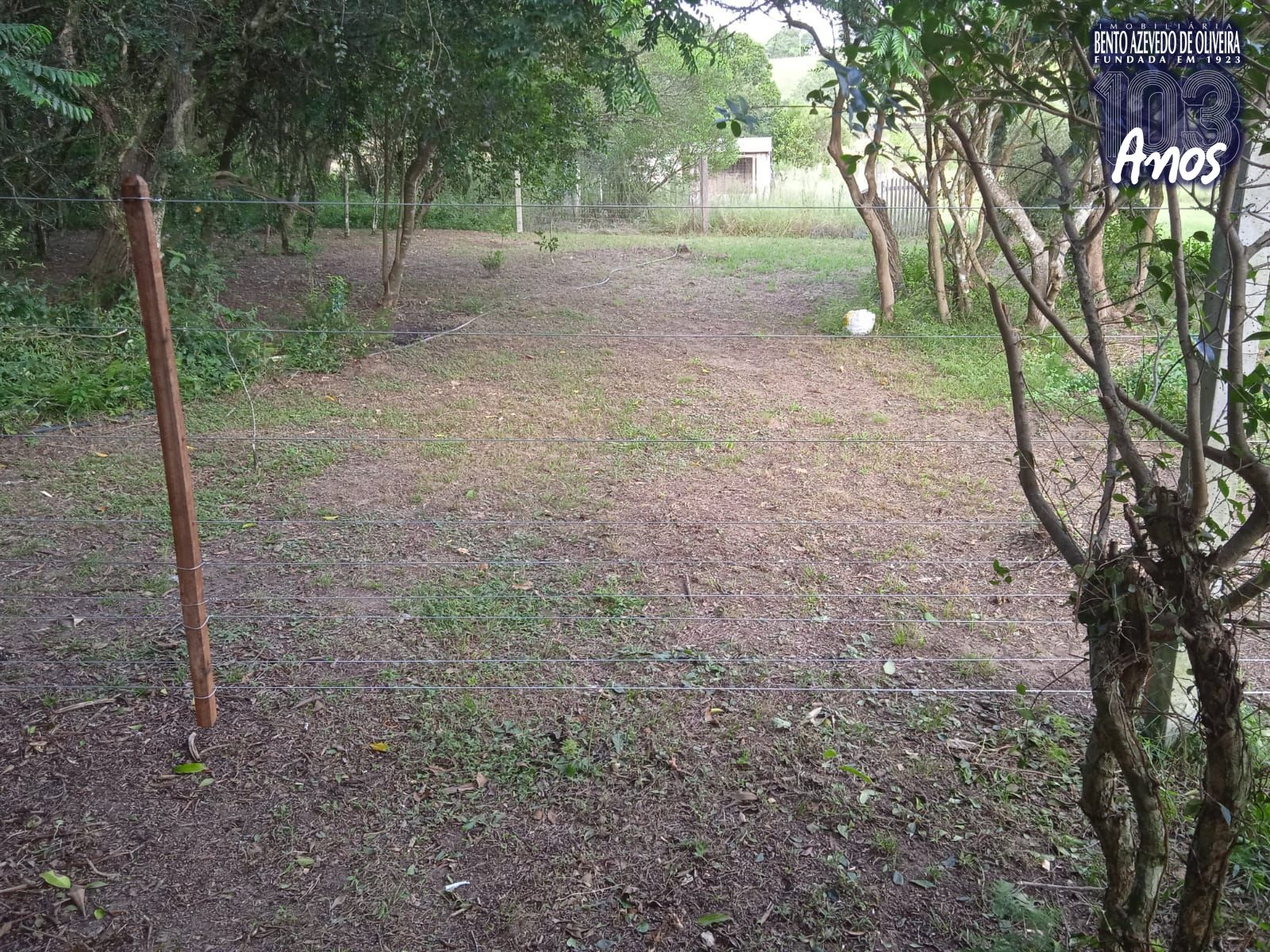 Chácara, 2 quartos, 5 hectares - Foto 13