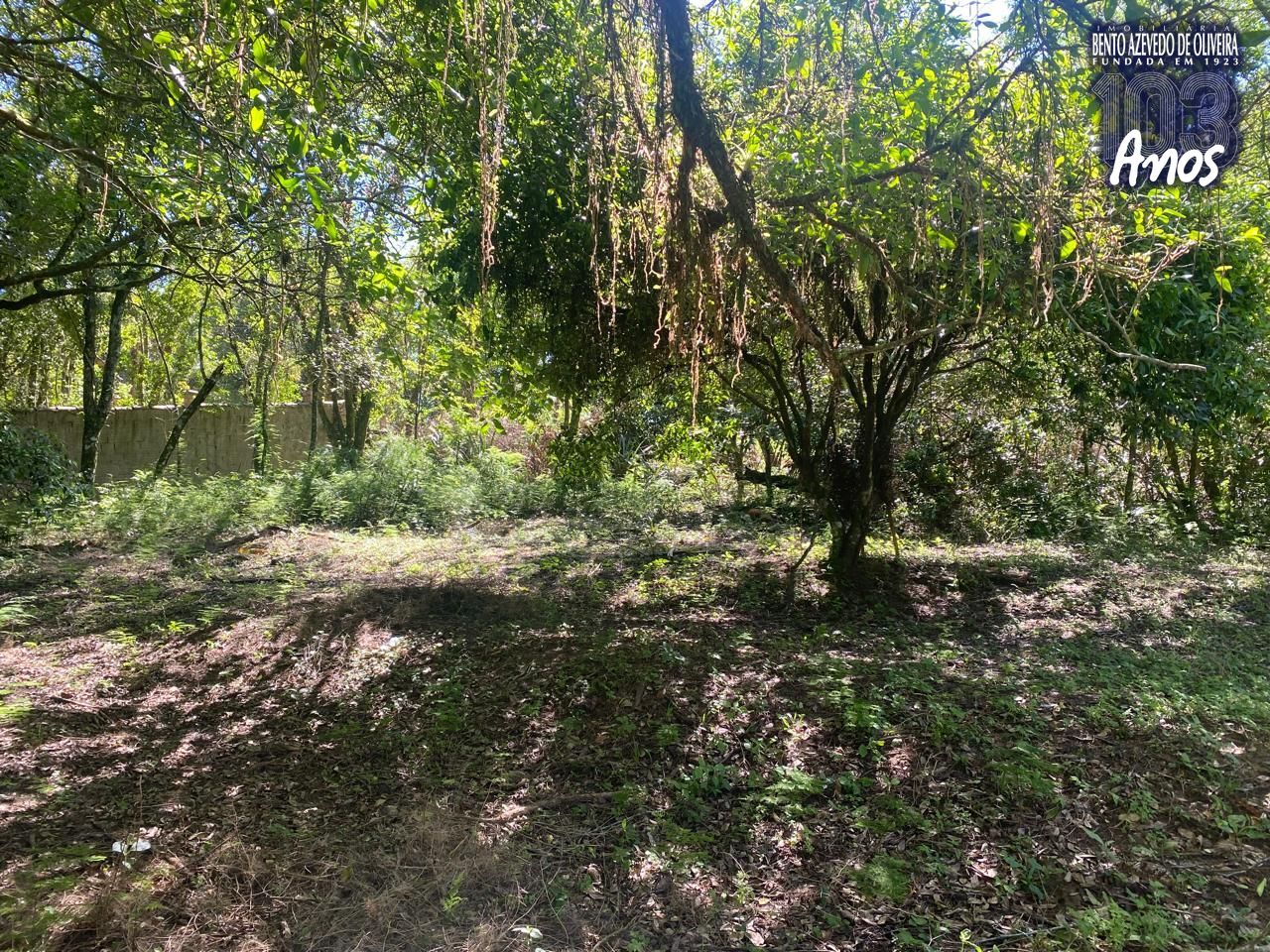 Terreno, 9750 m² - Foto 4