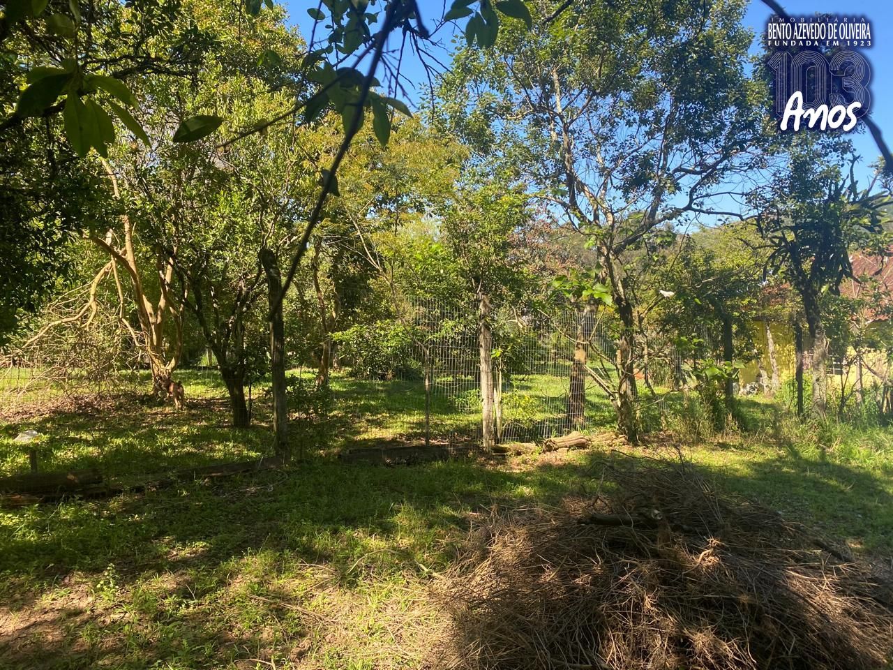 Terreno, 9750 m² - Foto 5