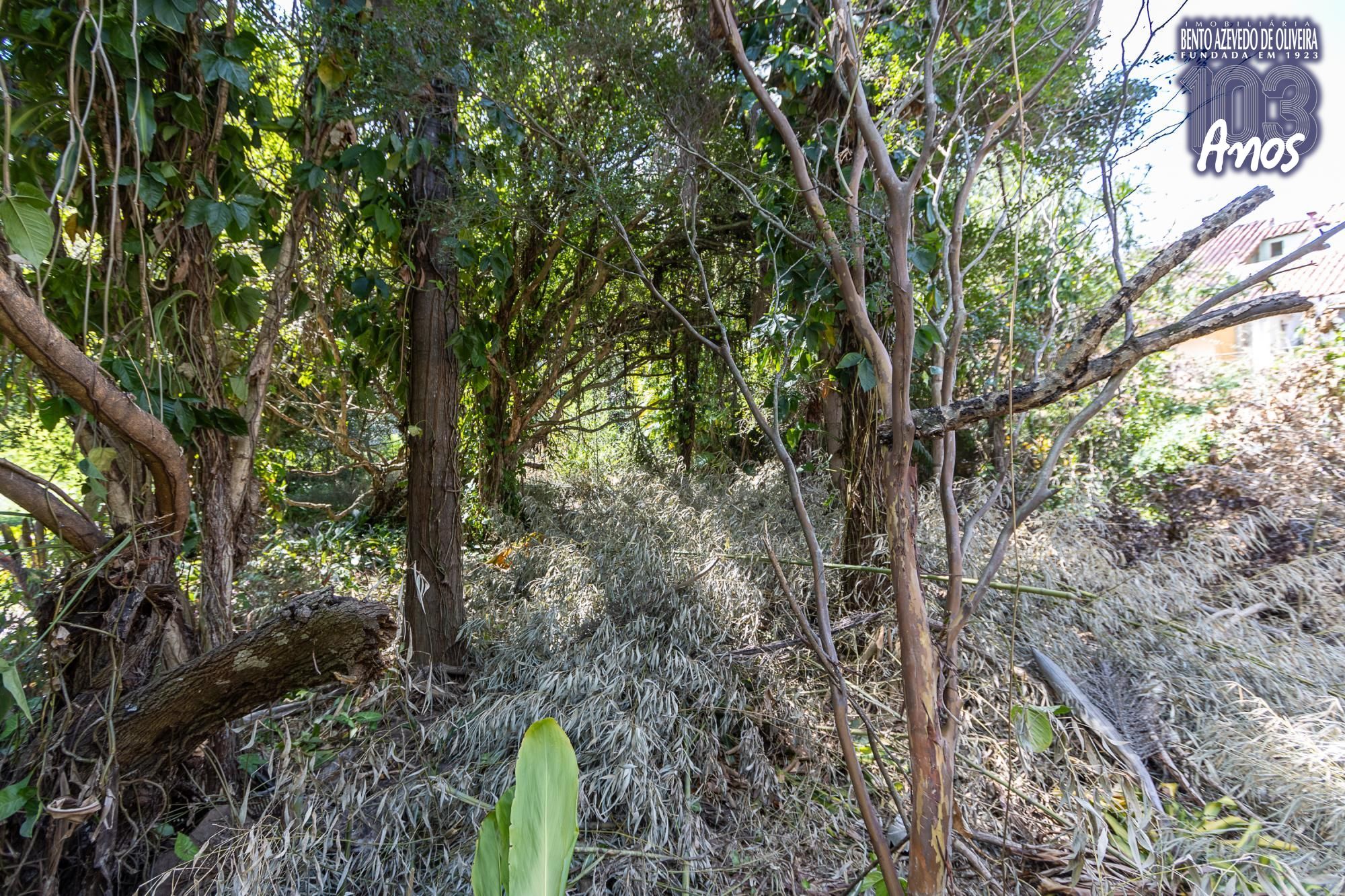 Terreno, 1 m² - Foto 13