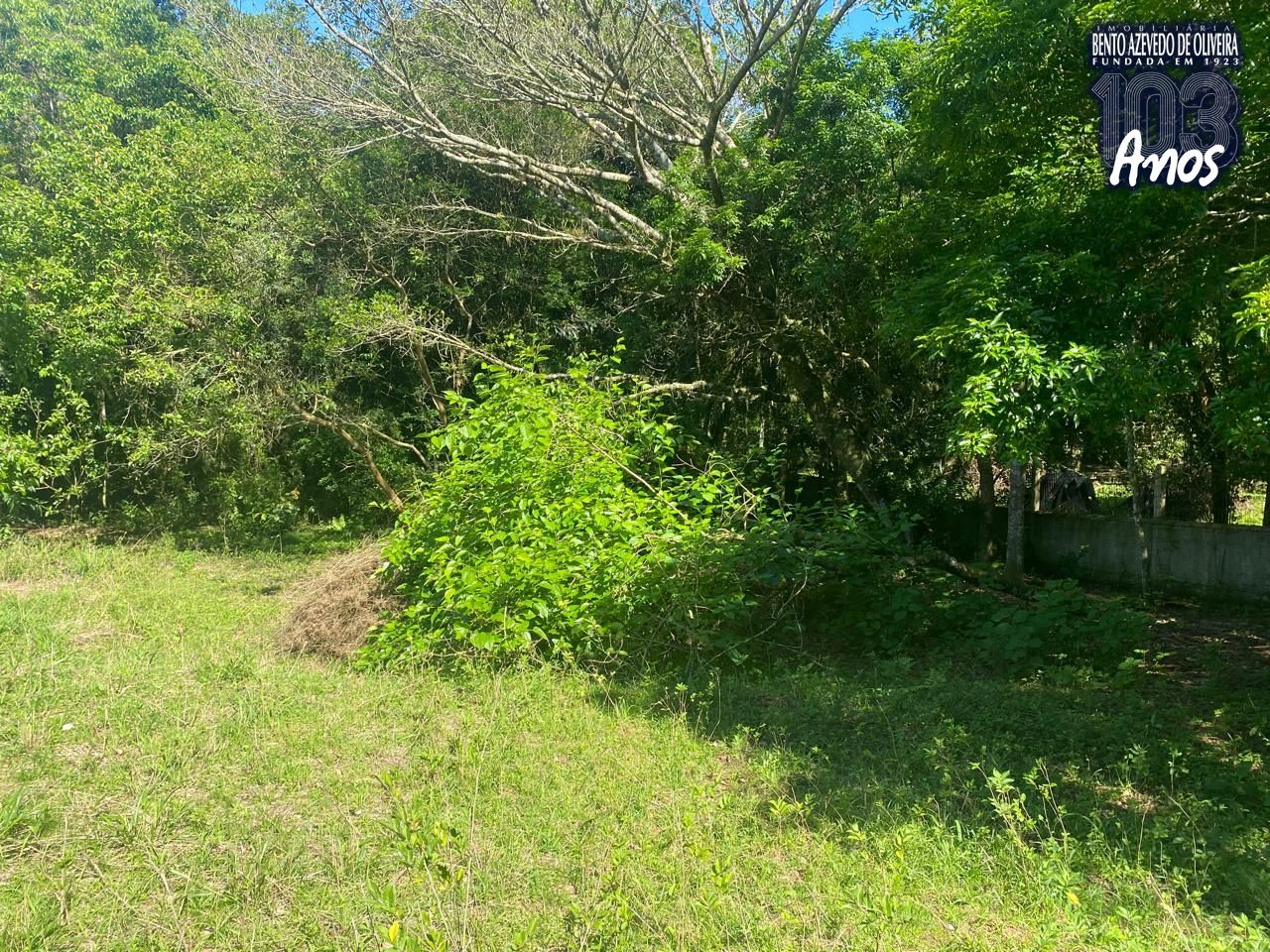 Terreno, 9750 m² - Foto 15