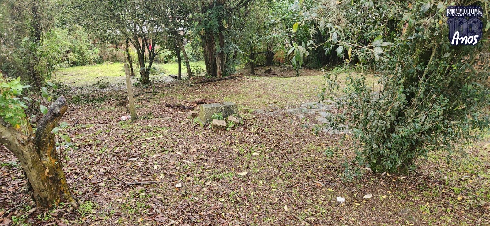 Terreno, 1600 m² - Foto 10