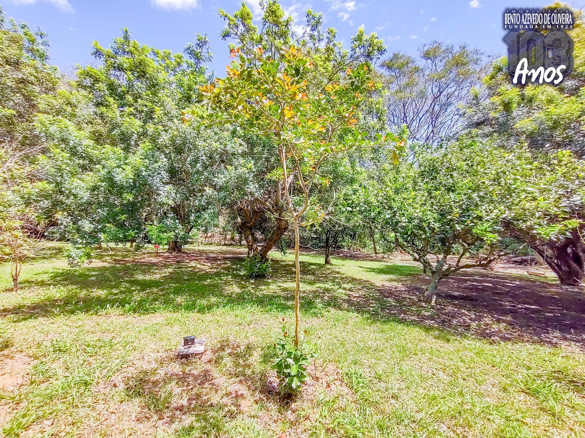 Terreno, 116 m² - Foto 17