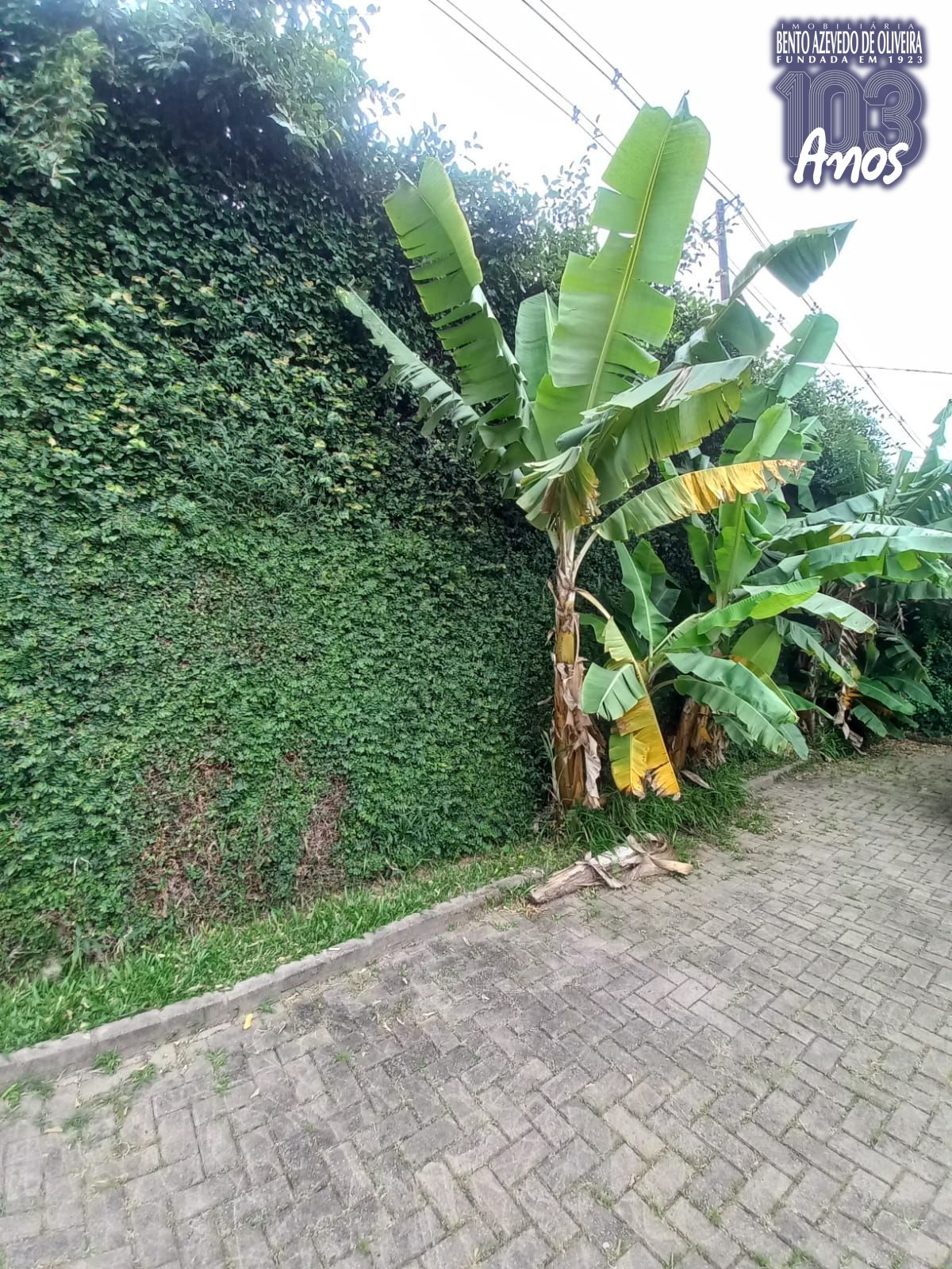 Casa, 6 quartos, 350 m² - Foto 27