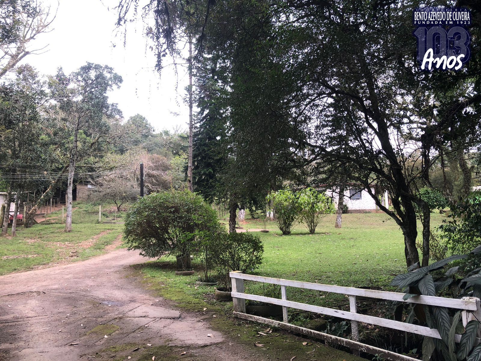 Sítio, 1 quarto, 12 hectares - Foto 7