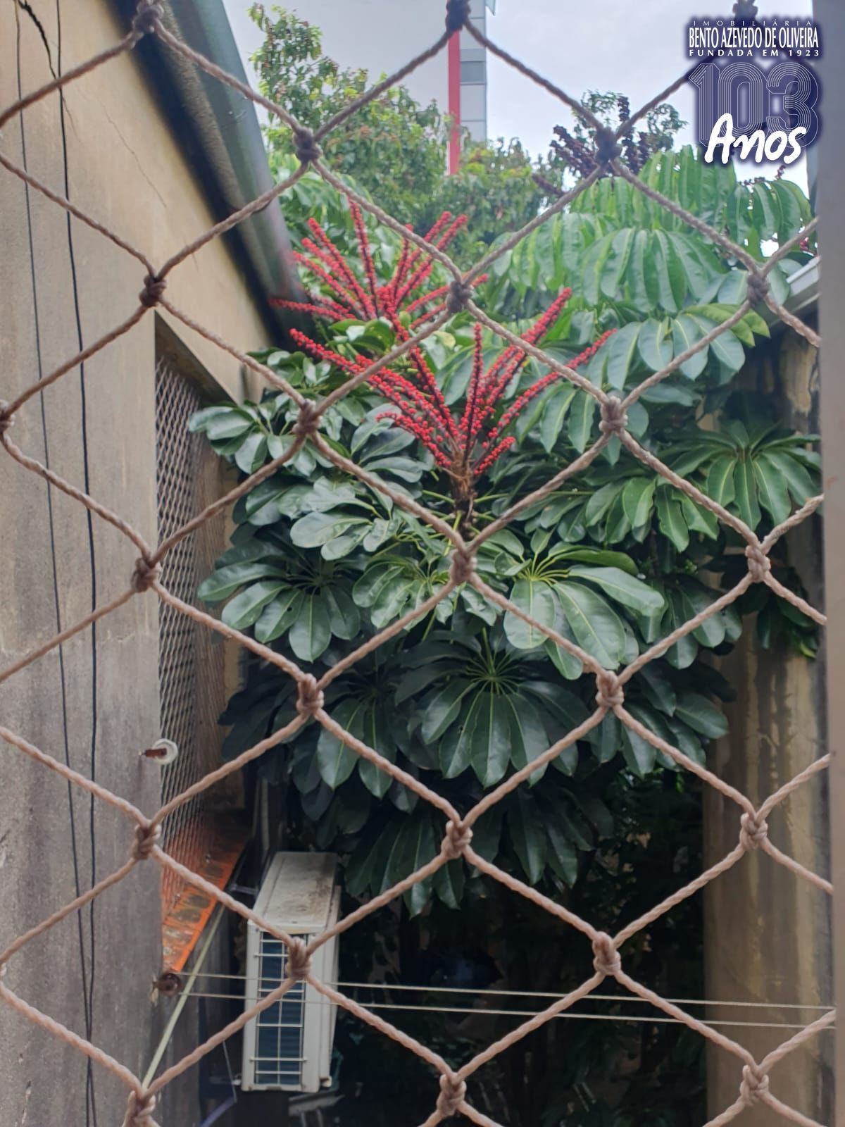 Apartamento, 3 quartos, 67 m² - Foto 23