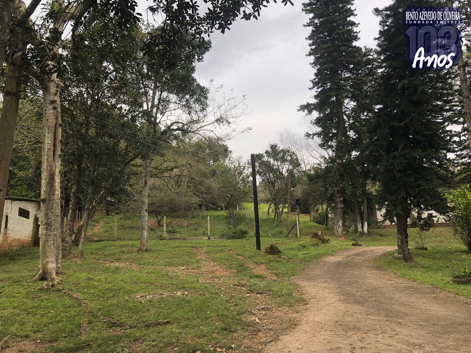 Sítio, 1 quarto, 12 hectares - Foto 8