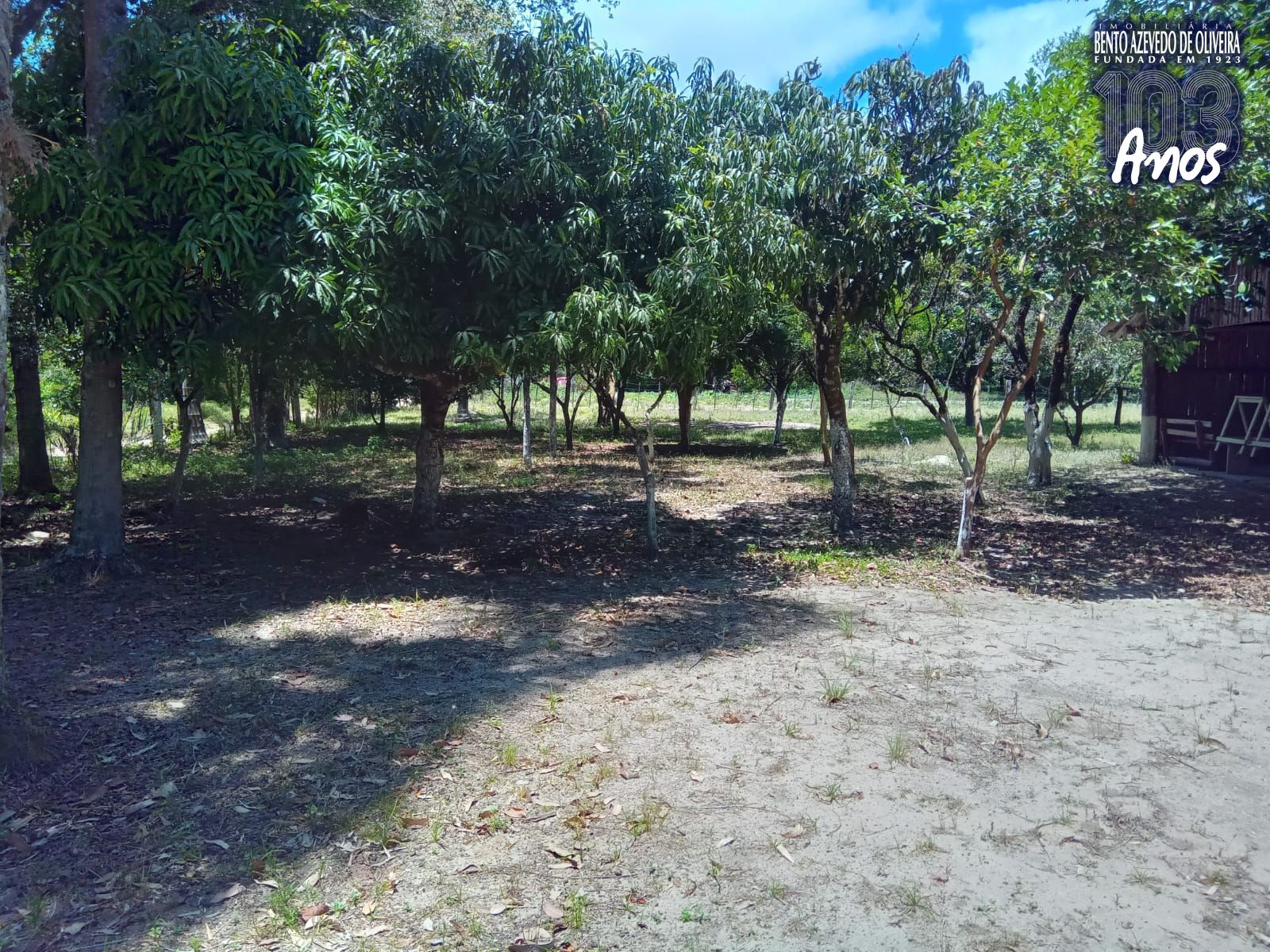 Sítio, 3 quartos, 1 hectares - Foto 24