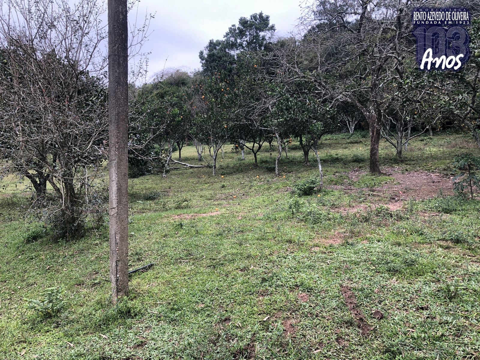 Sítio, 1 quarto, 12 hectares - Foto 4
