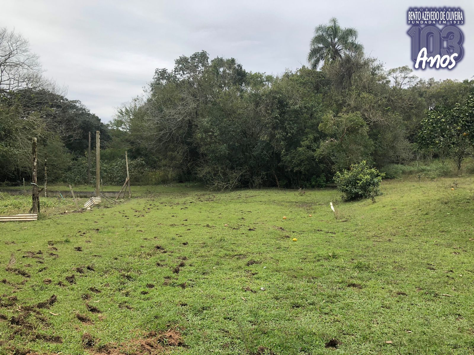 Sítio, 1 quarto, 12 hectares - Foto 2