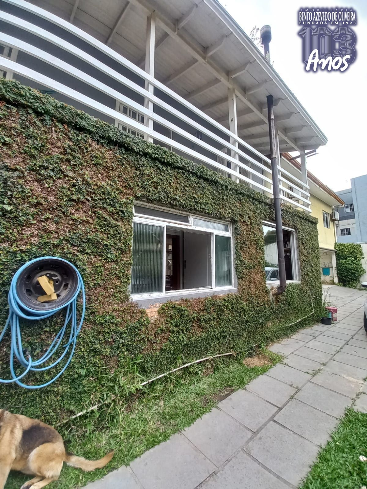 Casa, 6 quartos, 350 m² - Foto 12