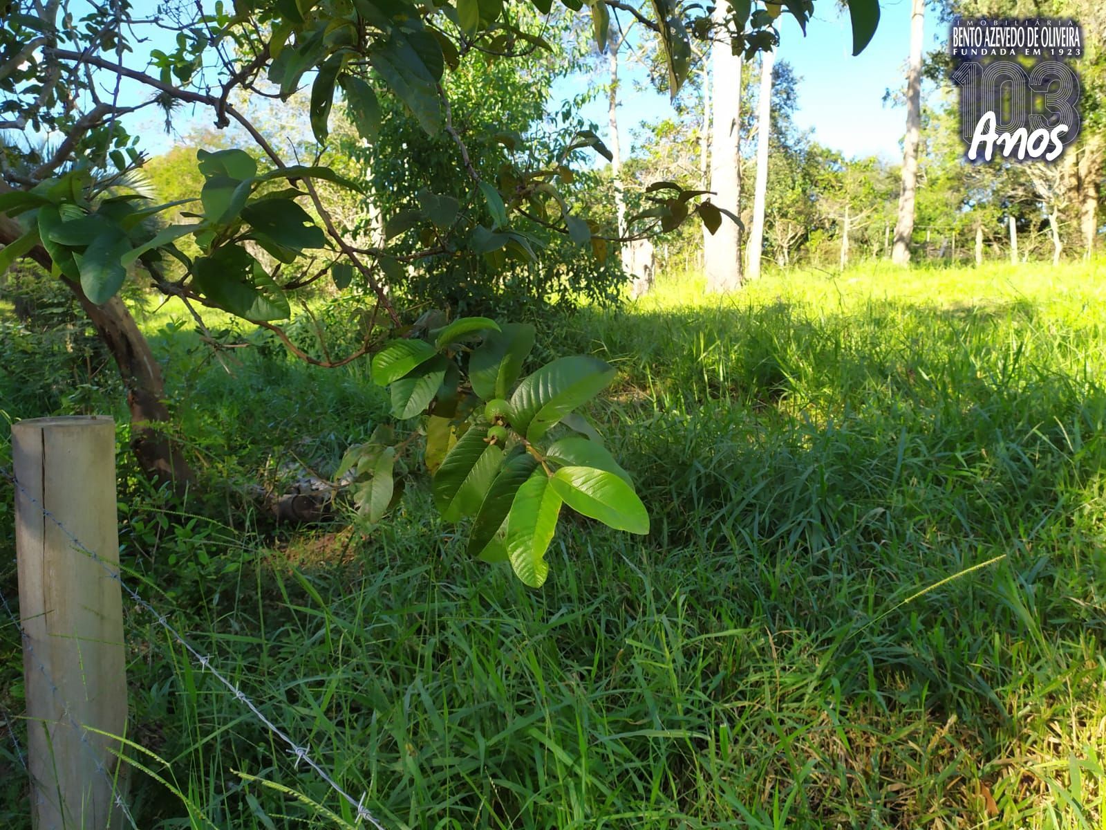 Terreno, 2500 m² - Foto 16