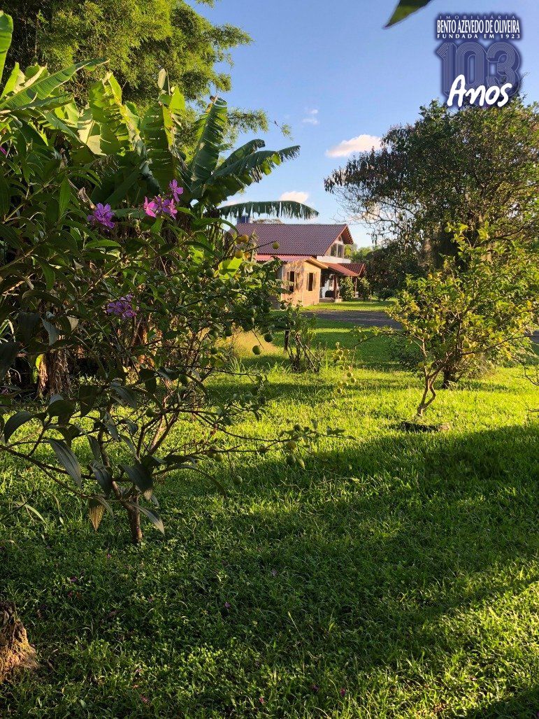 Sítio, 3 quartos, 3273 m² - Foto 31