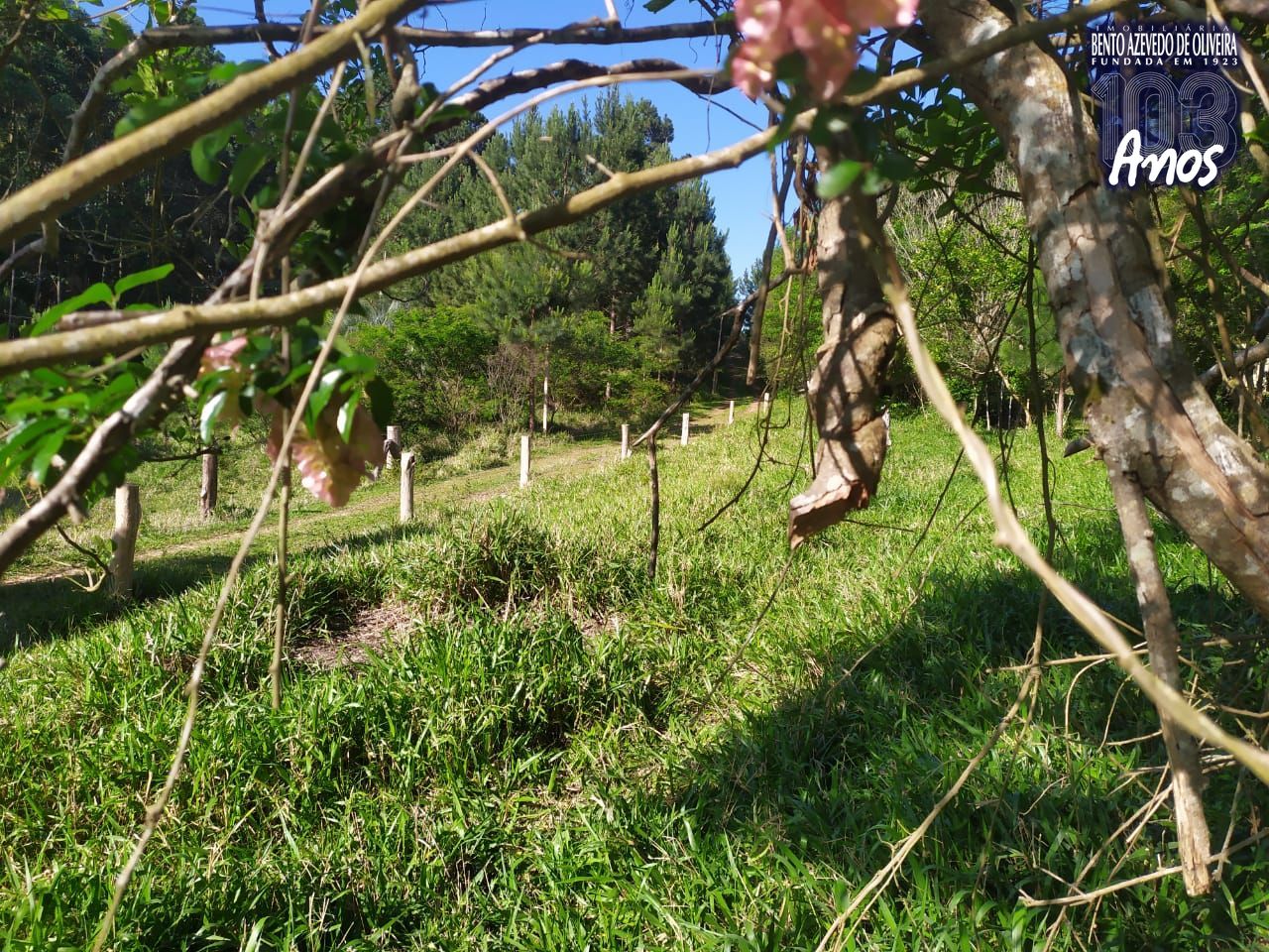 Terreno, 4 m² - Foto 9