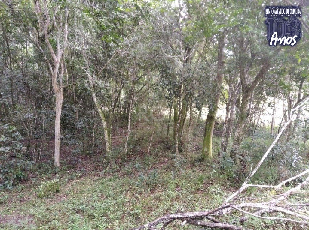 Terreno, 2500 m² - Foto 11