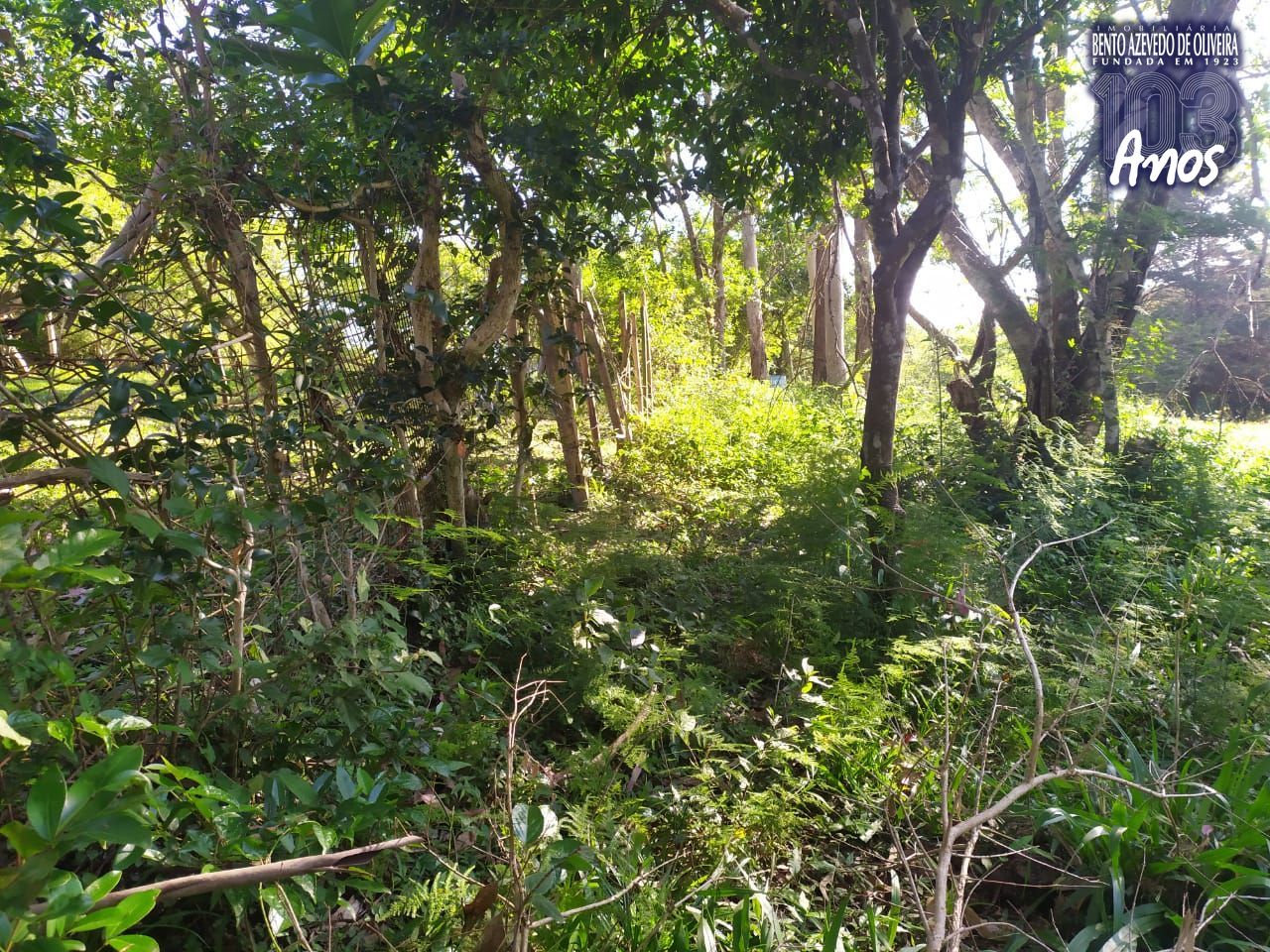 Terreno, 4 m² - Foto 7