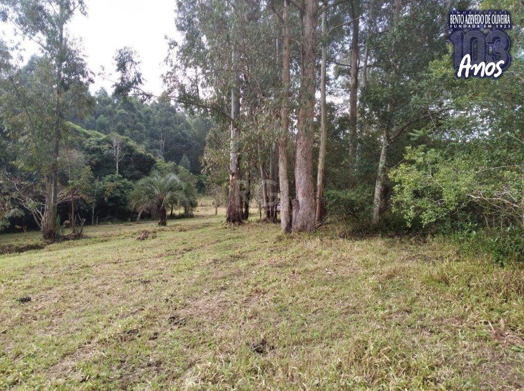 Terreno, 2500 m² - Foto 7