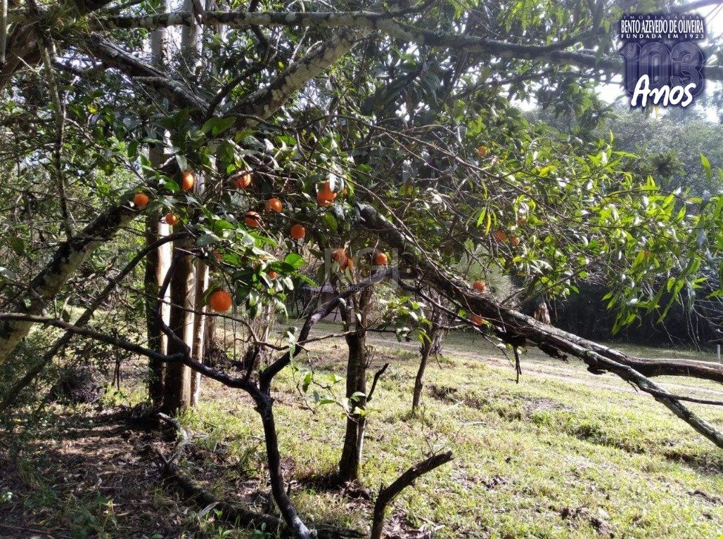 Terreno, 2500 m² - Foto 3