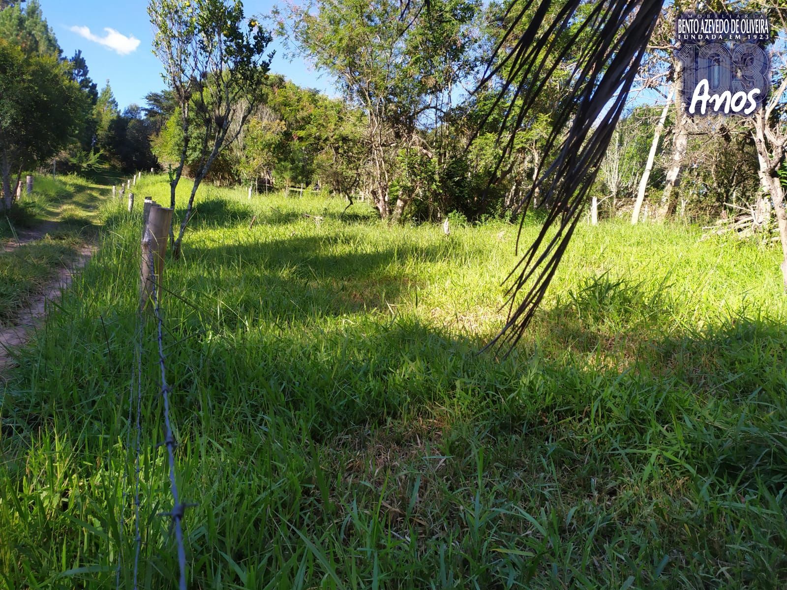 Terreno, 2500 m² - Foto 12