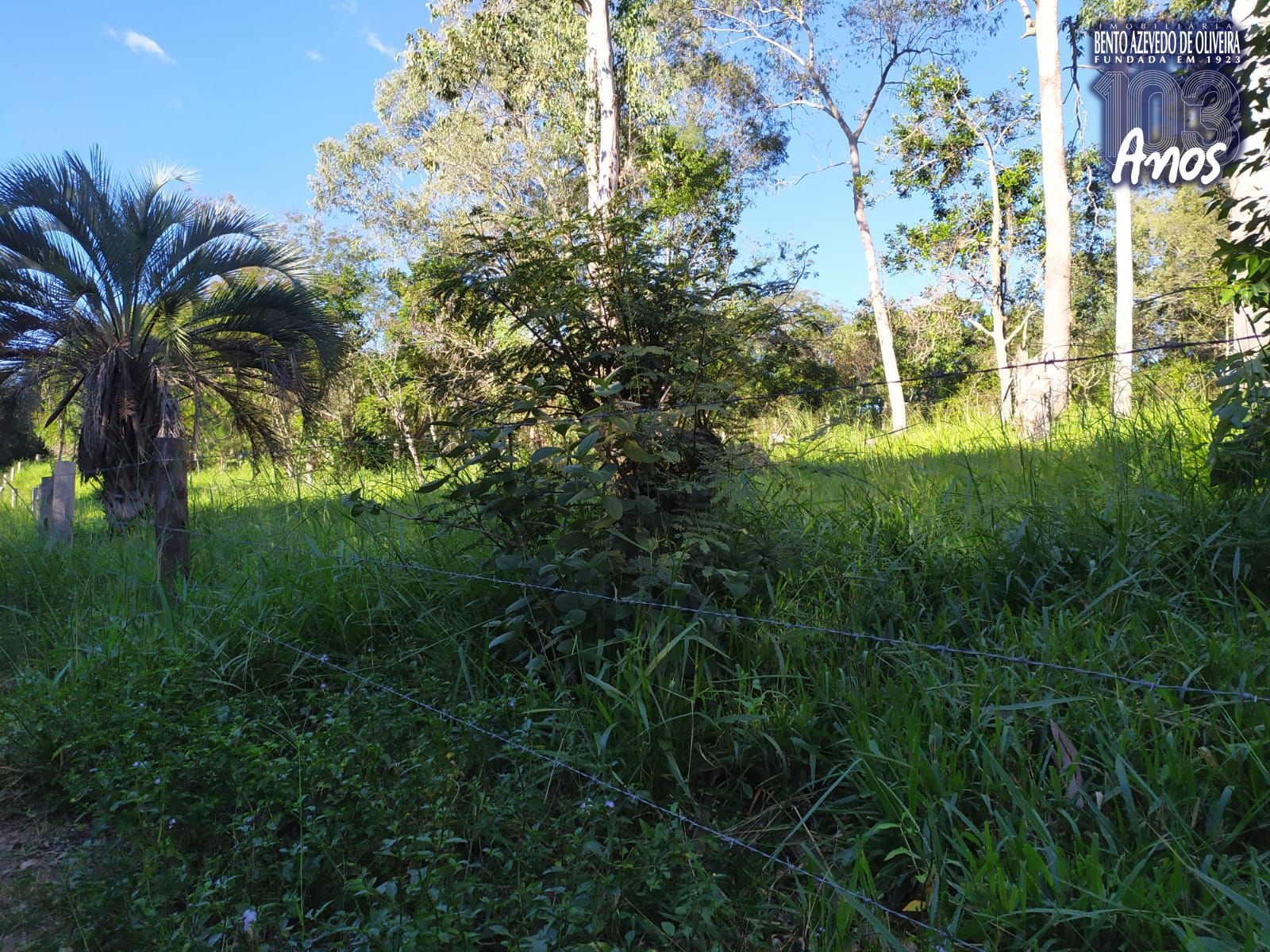 Terreno, 2500 m² - Foto 10