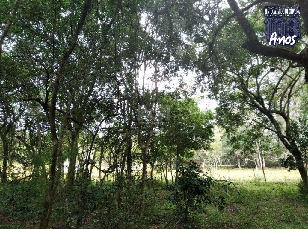 Terreno, 2500 m² - Foto 3