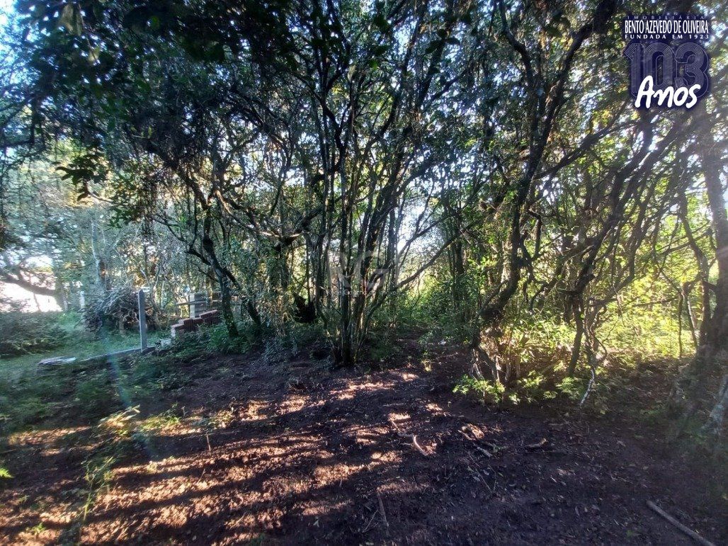 Sítio, 2 quartos, 400 m² - Foto 12