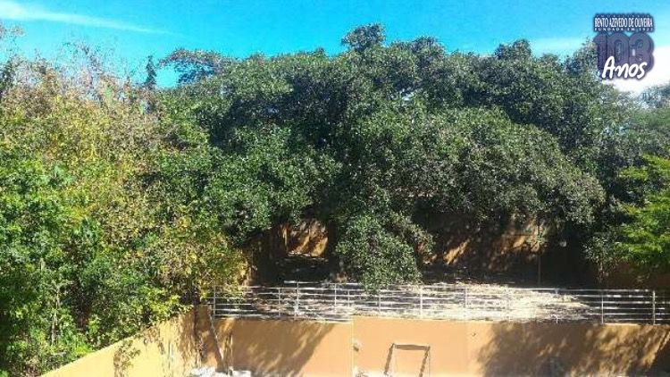 Apartamento, 2 quartos, 53 m² - Foto 15