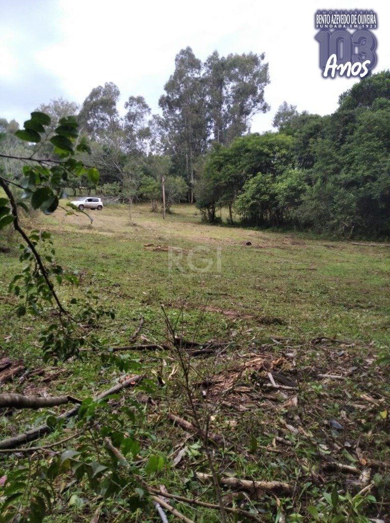 Terreno, 2500 m² - Foto 5