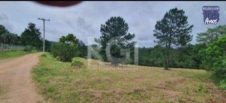 Terreno, 10000 m² - Foto 3