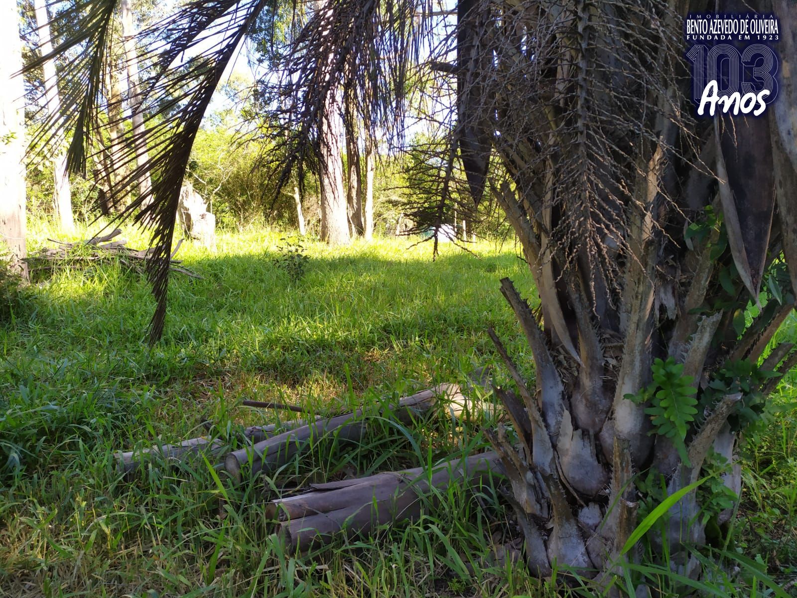 Terreno, 2500 m² - Foto 11