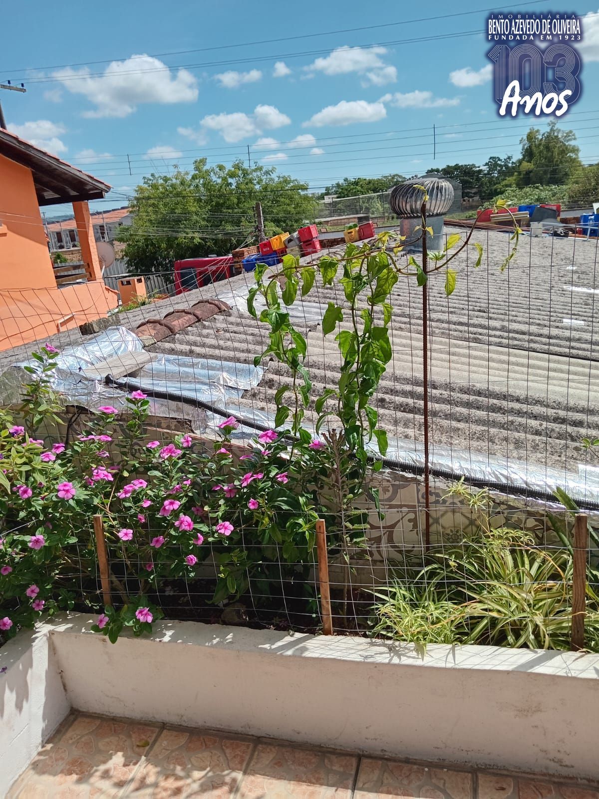 Casa, 4 quartos, 500 m² - Foto 19