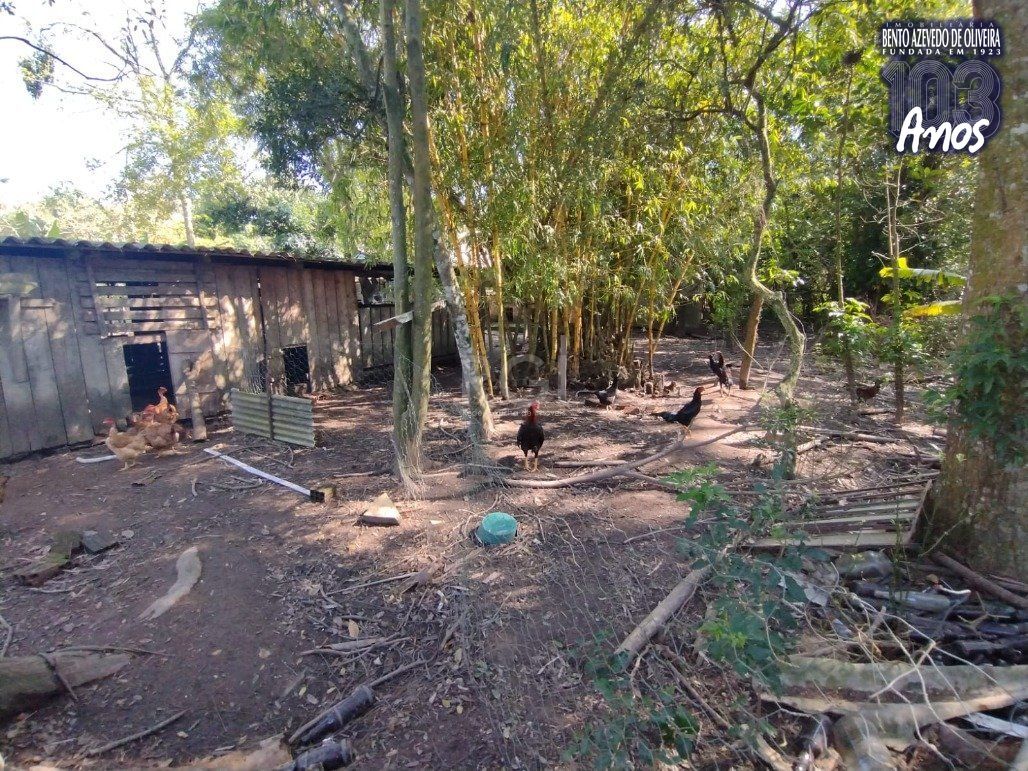 Sítio, 4 quartos, 6200 m² - Foto 26