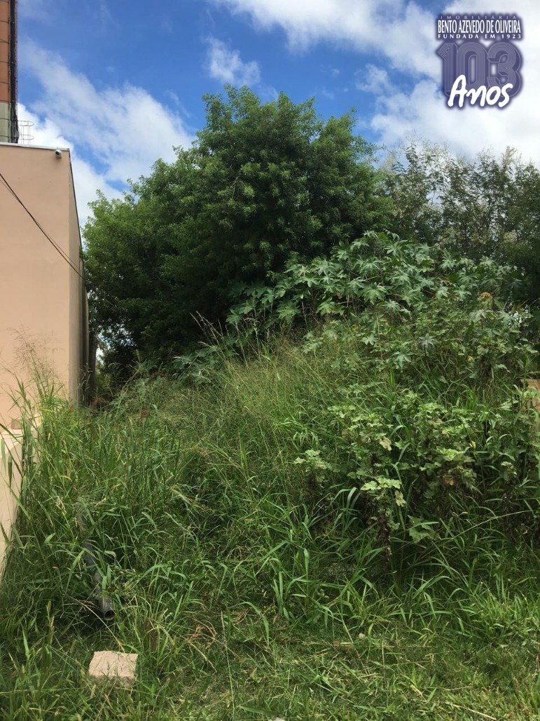 Terreno, 1500 m² - Foto 5