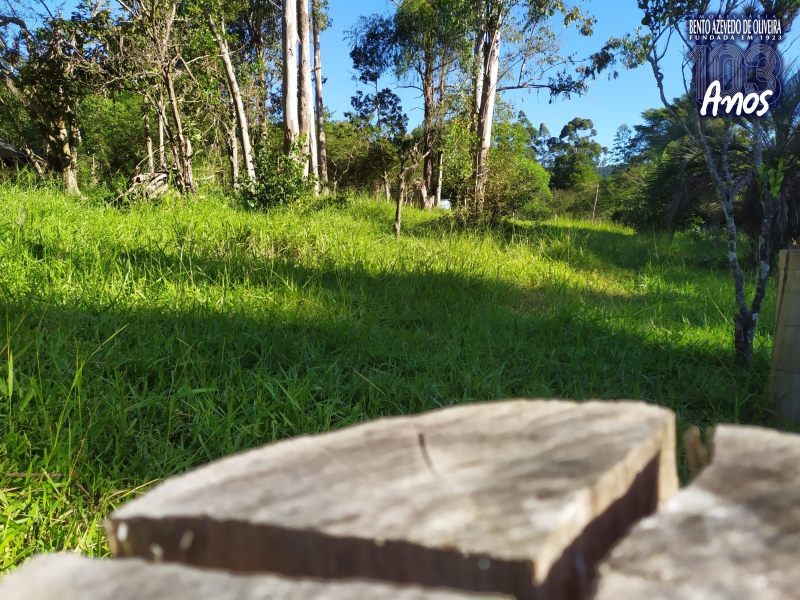 Terreno, 2500 m² - Foto 18