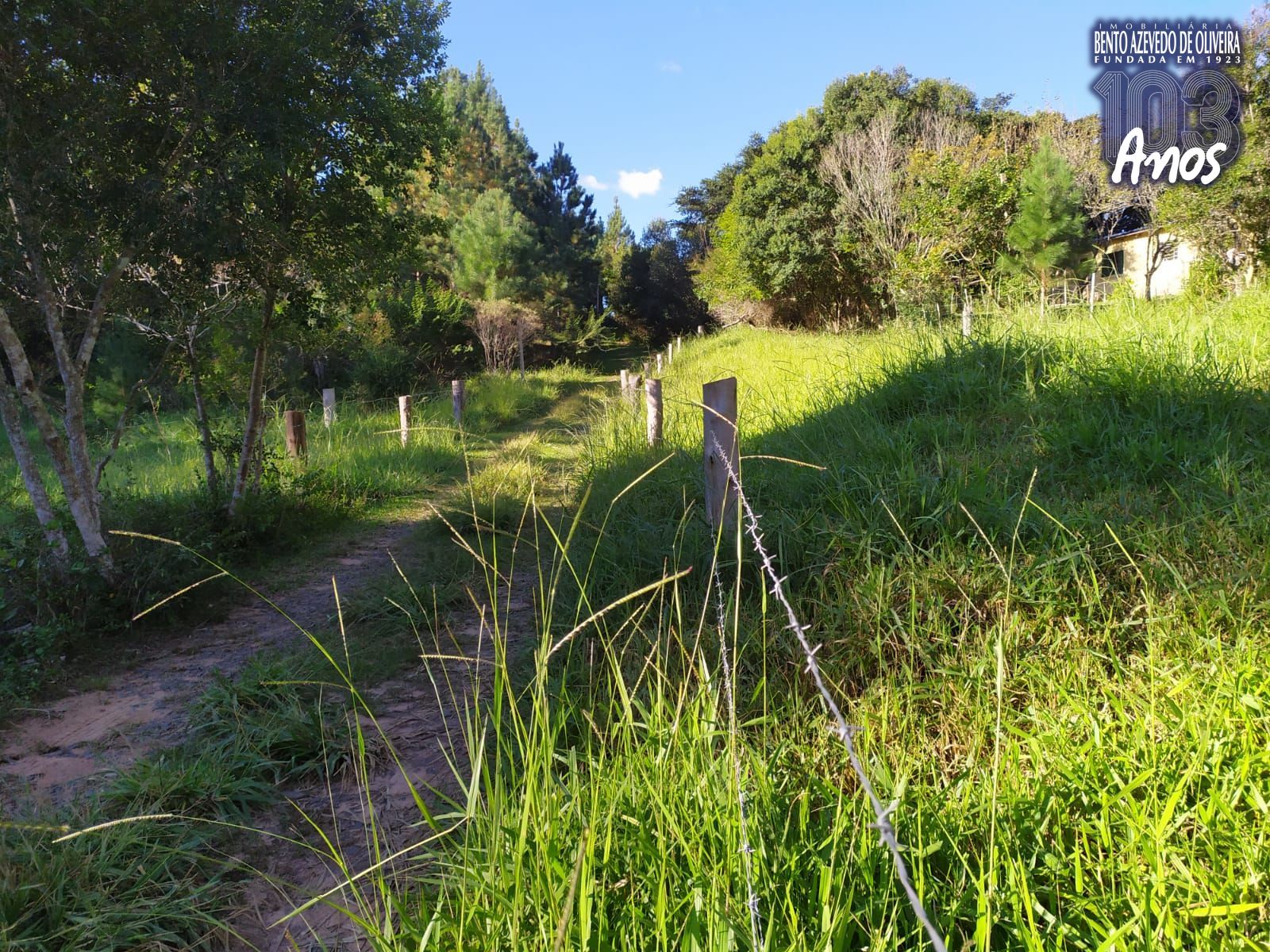 Terreno, 2500 m² - Foto 13