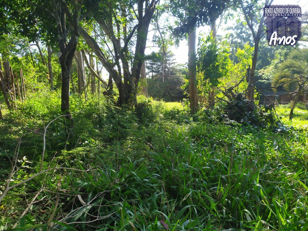 Terreno, 4 m² - Foto 8
