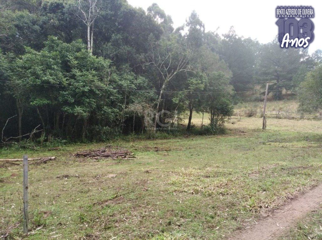 Terreno, 2500 m² - Foto 8