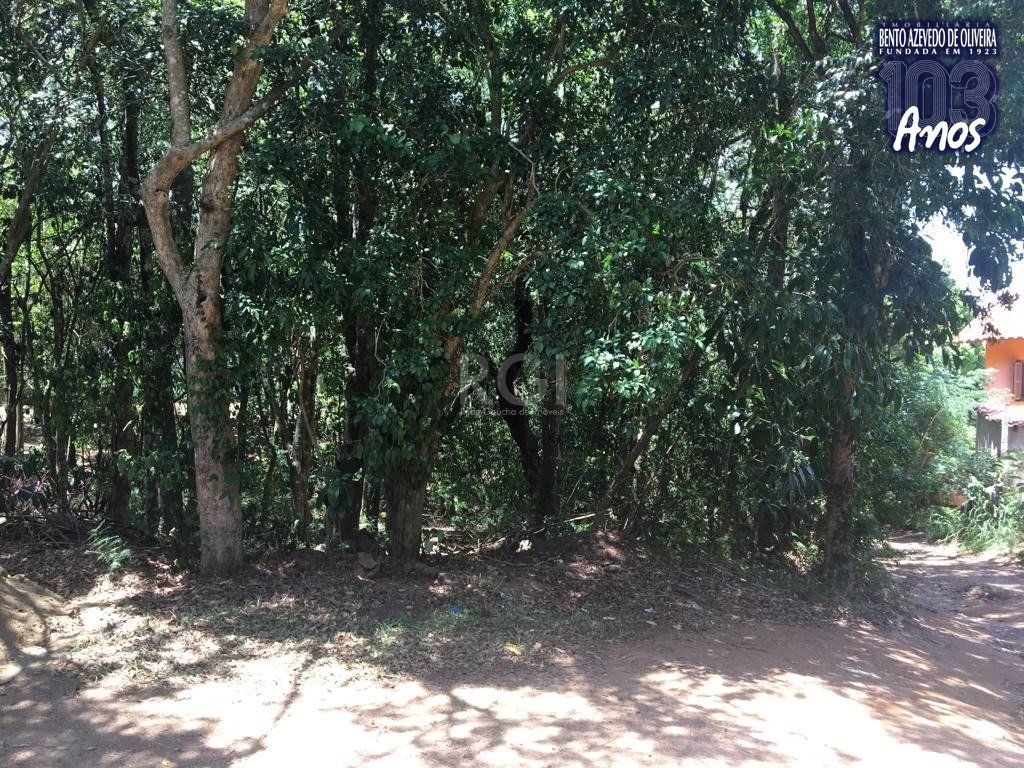 Terreno, 6750 m² - Foto 4