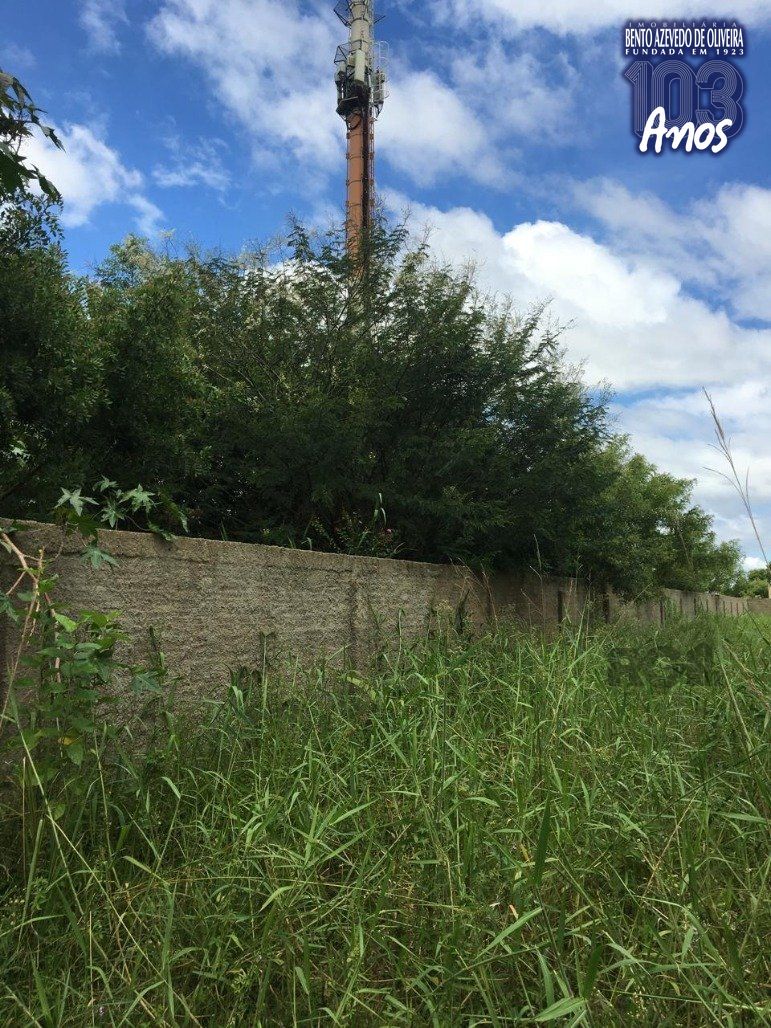 Terreno, 1500 m² - Foto 10