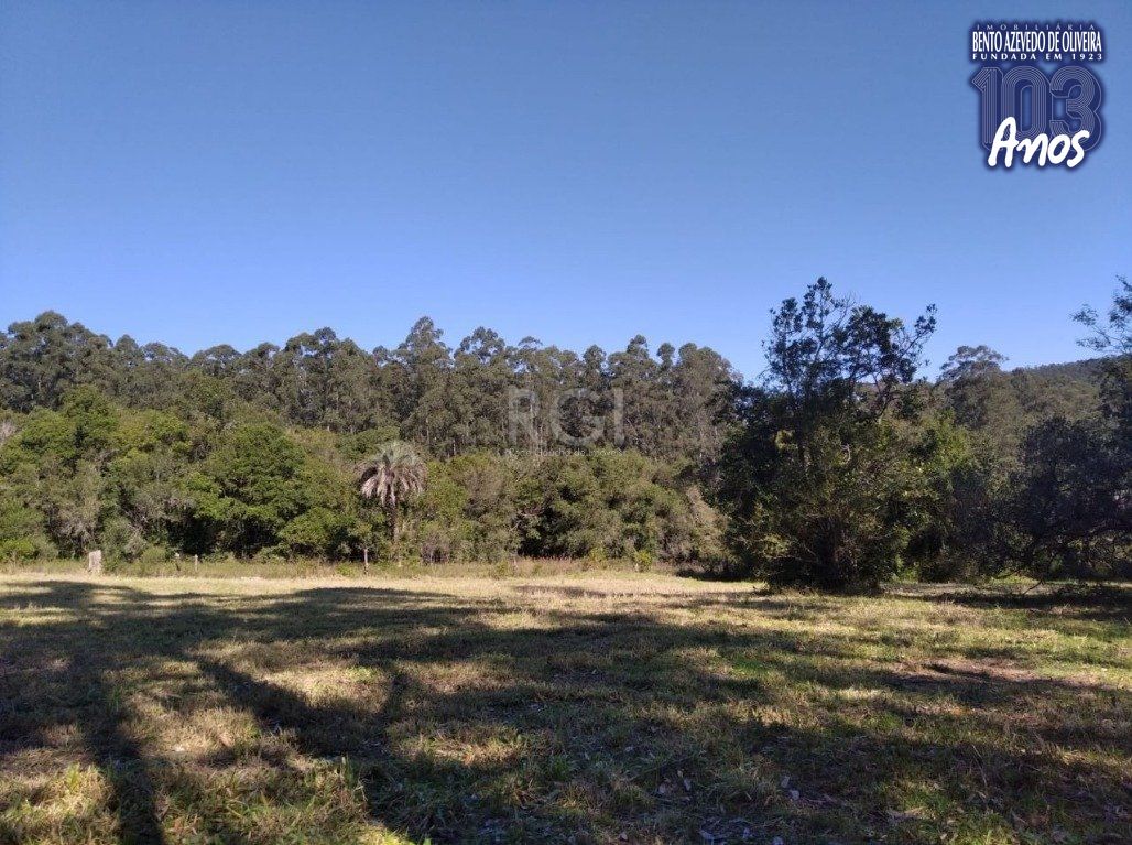 Terreno, 2500 m² - Foto 6