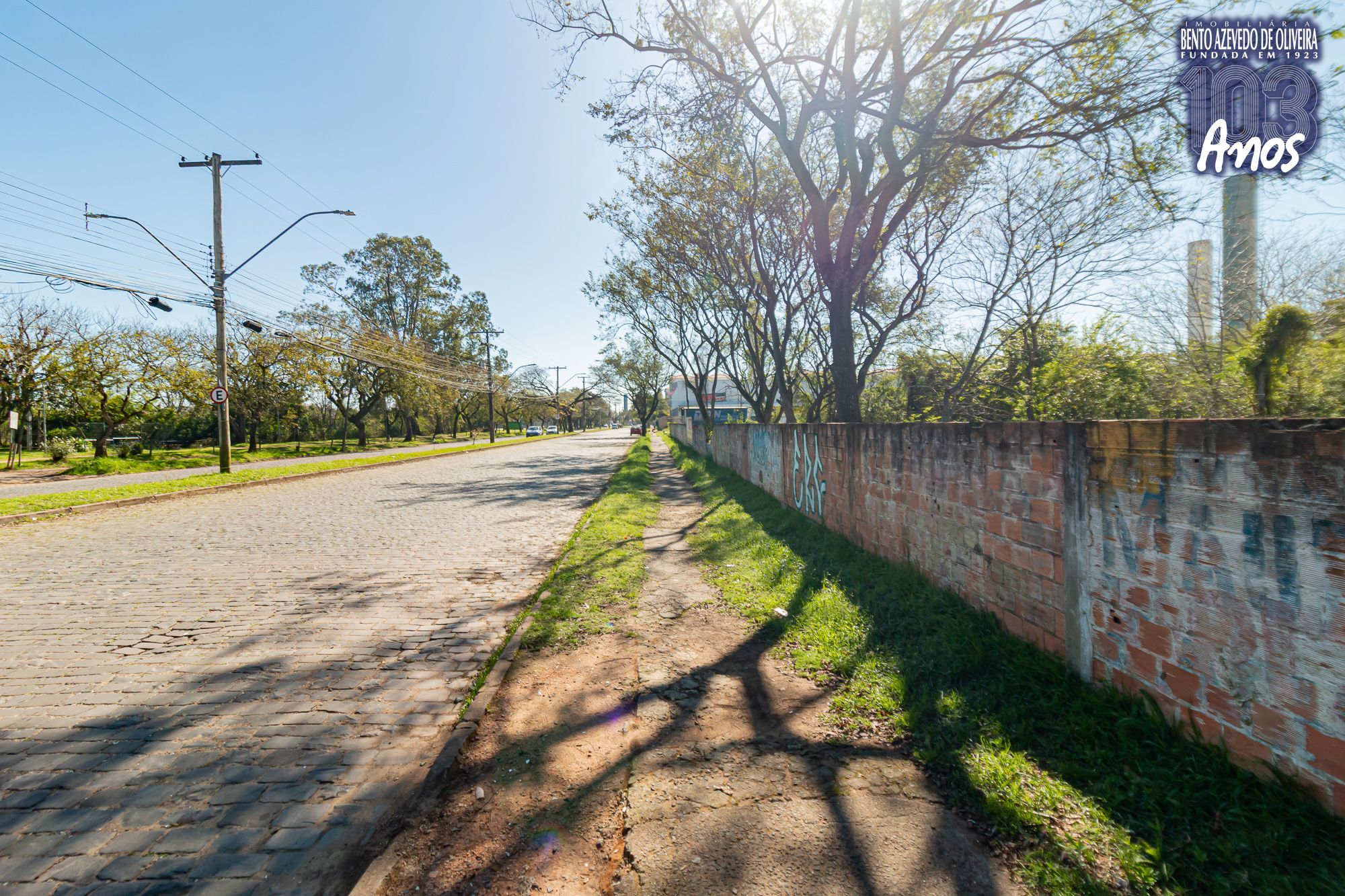 Terreno, 6150 m² - Foto 8