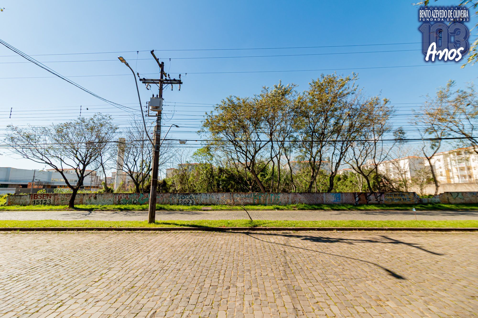 Terreno, 6150 m² - Foto 6