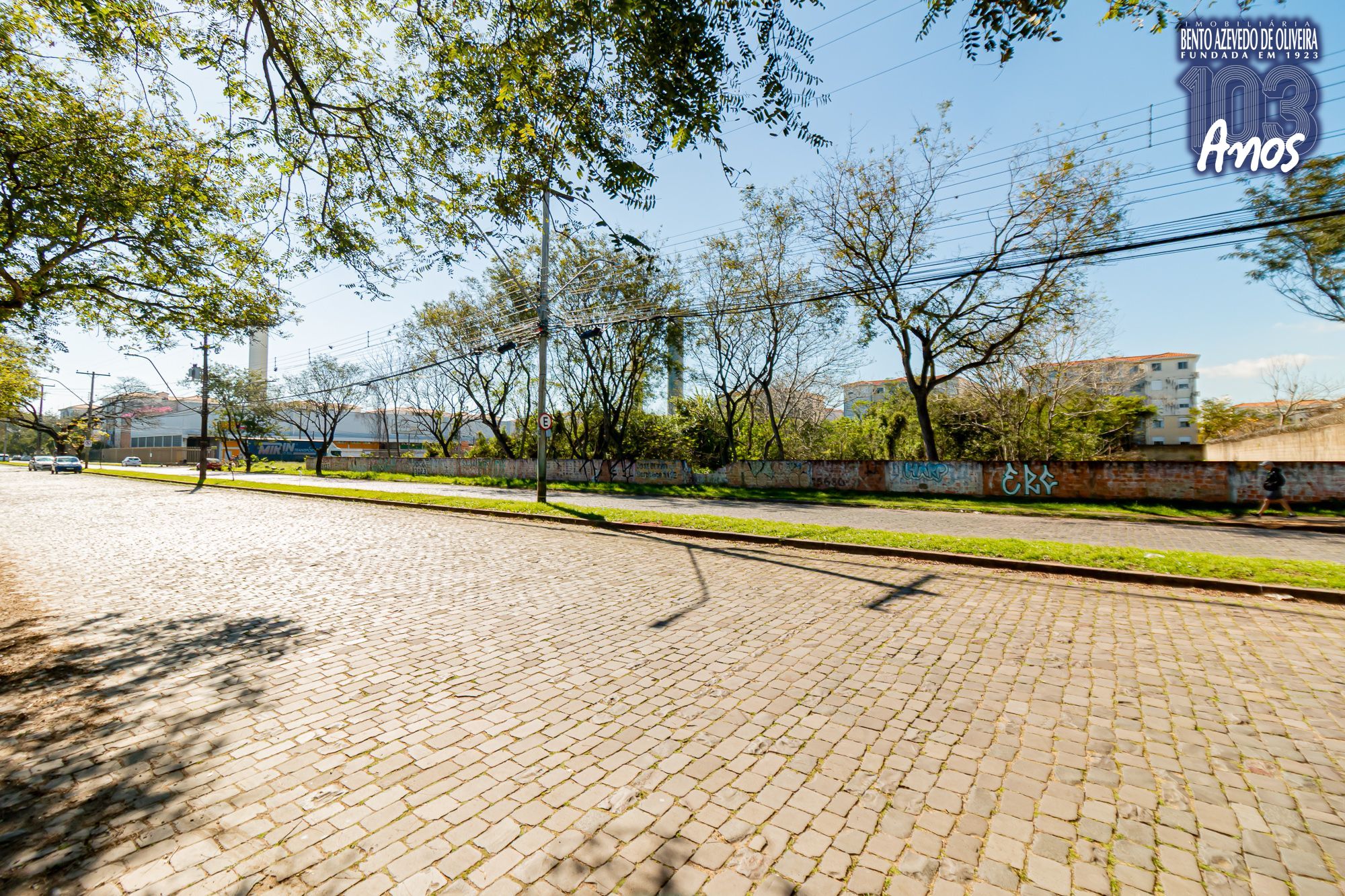 Terreno, 6150 m² - Foto 7
