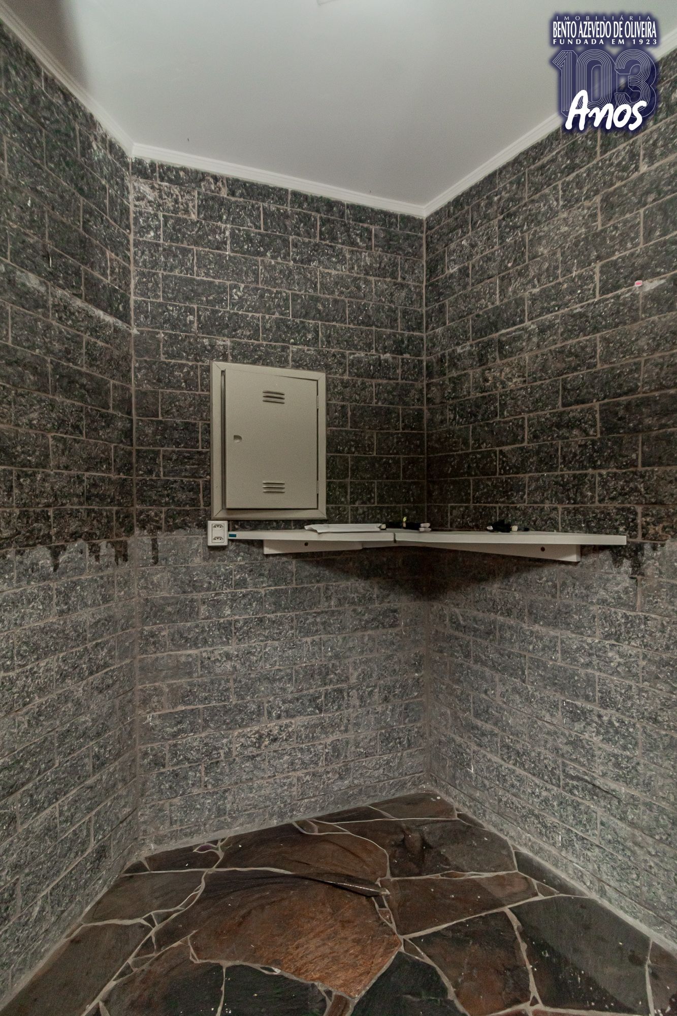 Casa, 5 quartos, 439 m² - Foto 63