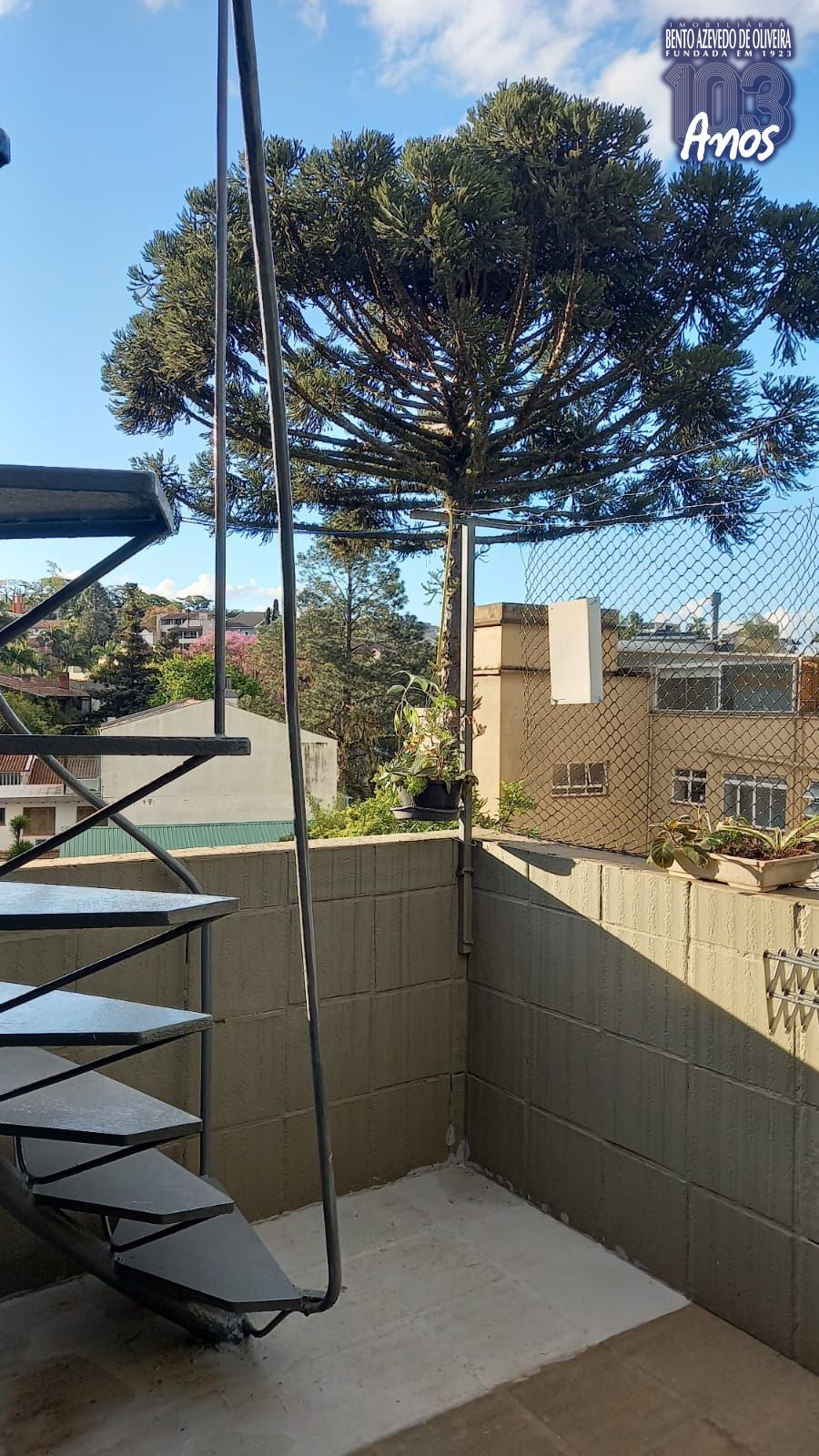 Casa, 5 quartos, 360 m² - Foto 14