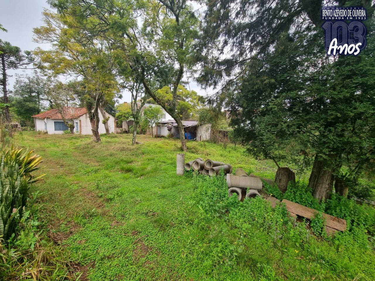 Terreno, 4452 m² - Foto 4
