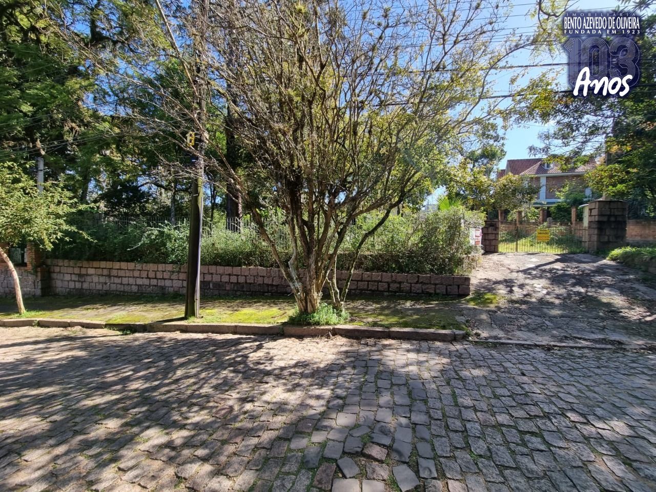 Terreno, 4452 m² - Foto 2