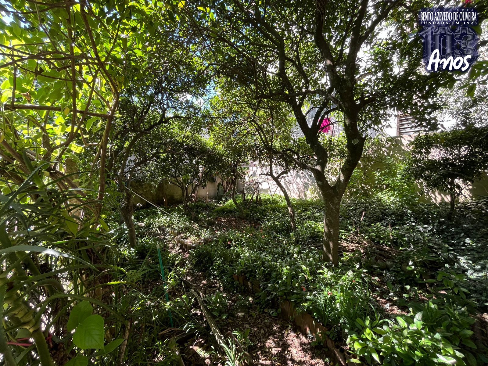 Casa, 6 quartos, 300 m² - Foto 37