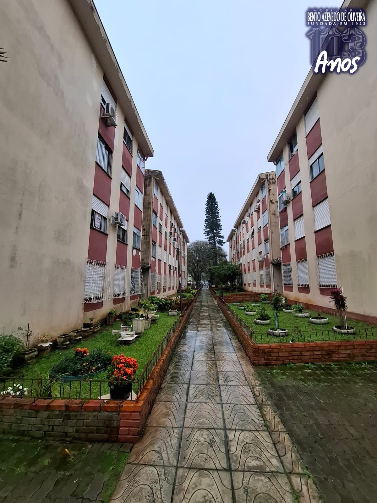 Apartamento, 3 quartos, 59 m² - Foto 4