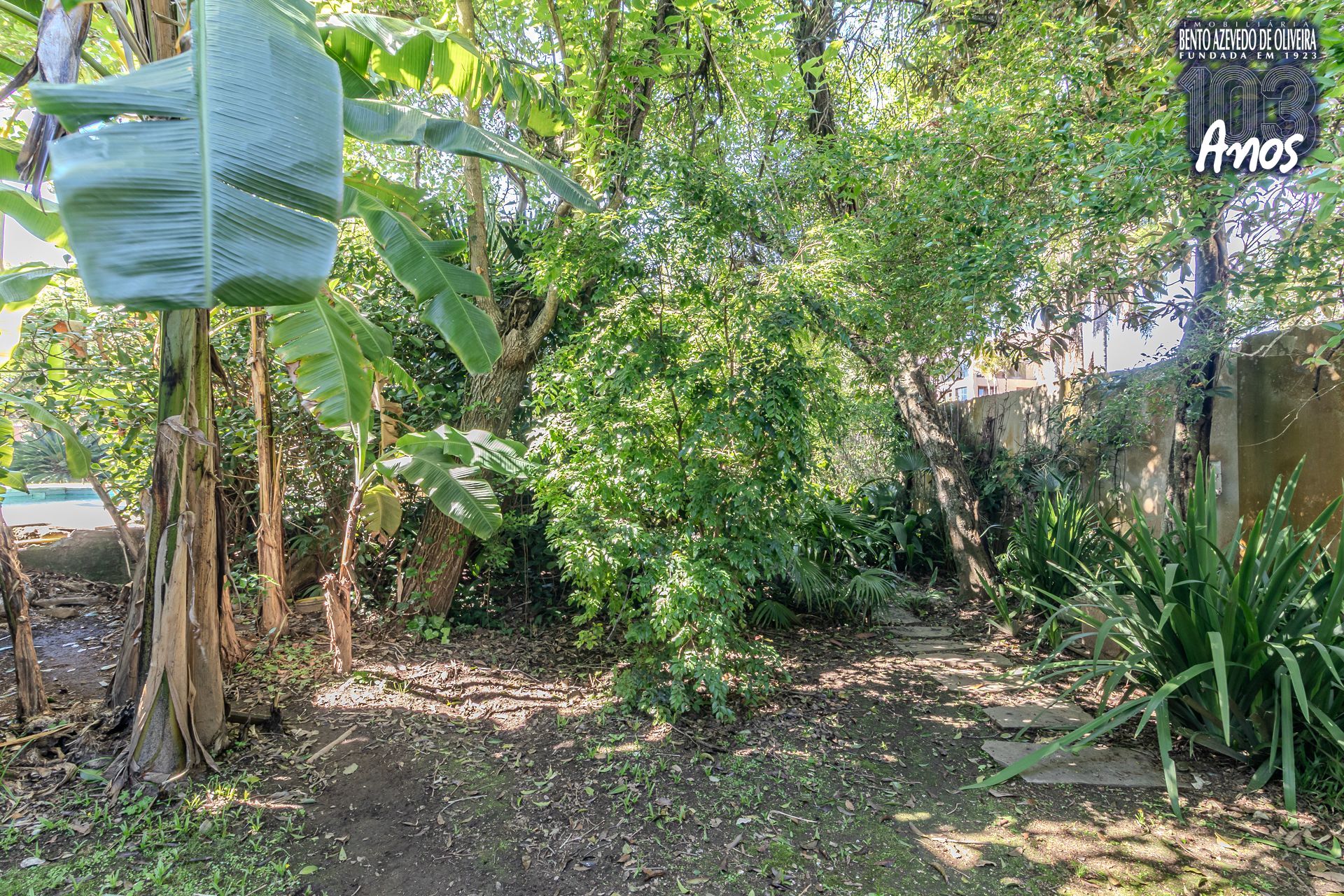 Casa, 4 quartos, 240 m² - Foto 36
